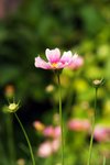 DSCF4967