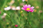 DSCF4973