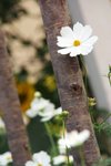 DSCF5028