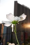 DSCF5062