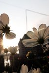 DSCF5065