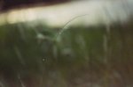72230012