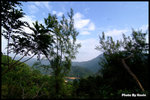 DSCF7323 copy