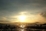 DSCF1852