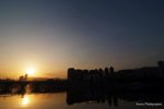 DSCF4204