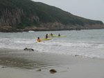 玩沖浪