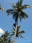 DSCN0410