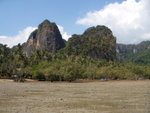 DSCN0415