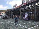 IMG_3687