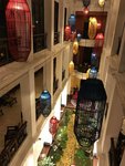 IMG_6183