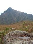 DSCN0556