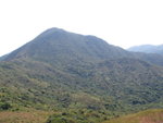 大蚊山