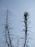 DSCN0585