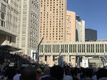IMG_8390
