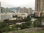 IMG_9903