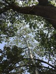 IMG_1164
