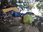 IMG_1201