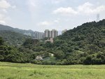 IMG_1699