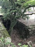 IMG_2029