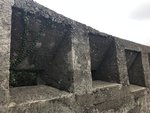 IMG_2055