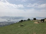 IMG_2581