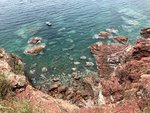 IMG_3779