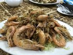 IMG_3960