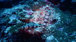 DSCN7792