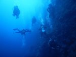 IMG_4790