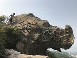 IMG_7260