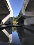 IMG_1796