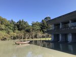 IMG_1800