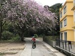 IMG_5467