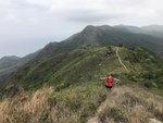 IMG_7353