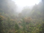 DSCN0667