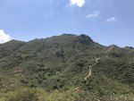 IMG_7893
