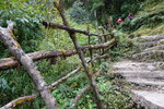 DSC01179