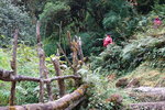 DSC01181