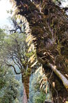 DSC01186