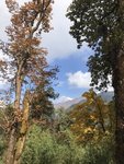 IMG_4623