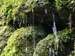 IMG_4649