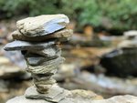 IMG_4656