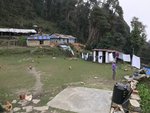 IMG_4729