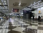 IMG_9159