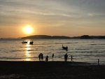 IMG_0953