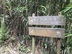 IMG_4171
