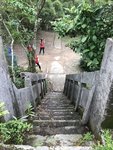 IMG_4184