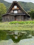 IMG_0571