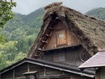 IMG_0579