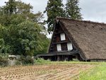 IMG_0587